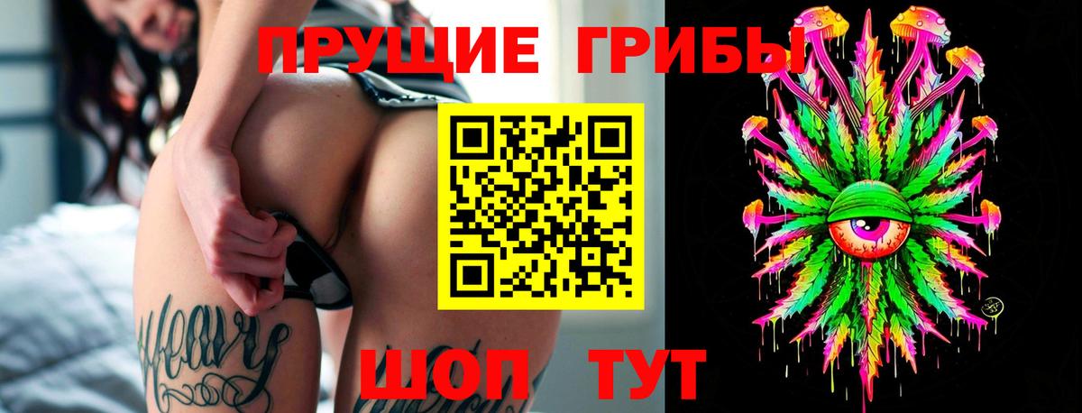 Галлюциногенные грибы Psilocybine cubensis  Вход с VPN  Россия  Псилоцибиновые грибы Psilocybine cubensis 